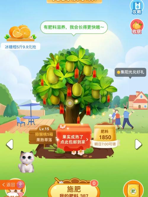 澳门天天好挂牌正版和这几种水果买就后悔与买哪些水果