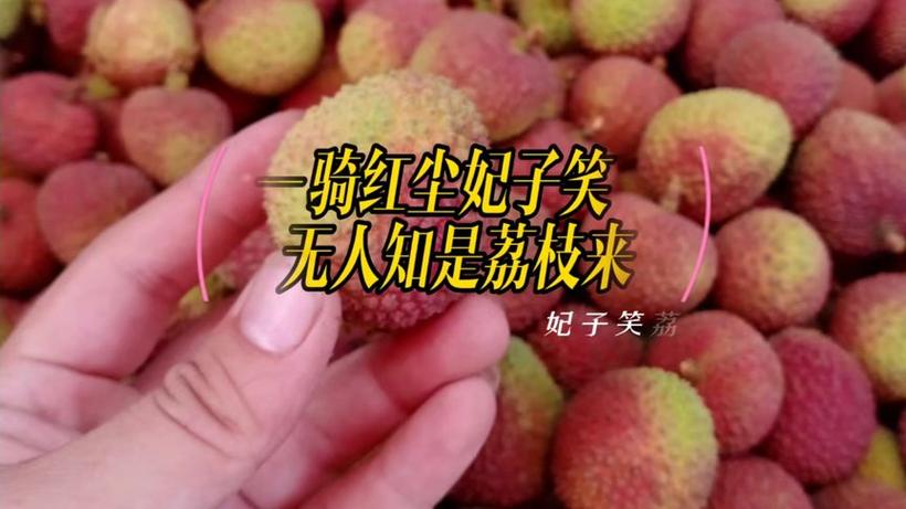 2025新澳门王中王正版和商家互砸西瓜丢荔枝与